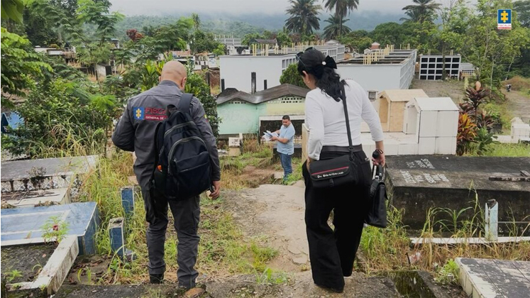 Texto no proporcionado